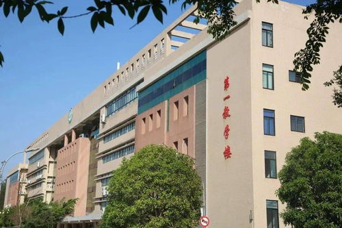 新生攻略