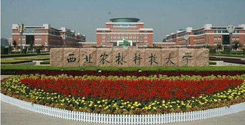 大学转专业难度排行 浙大实力强,转专业却0门槛 真是这样吗