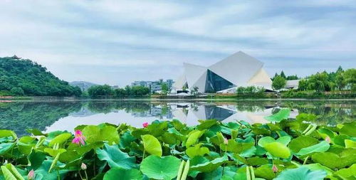 心向未来 浙江科技学院2022年本科招生计划官宣