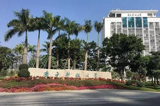 国内可能超越清华北大的3所大学,没有浙江大学