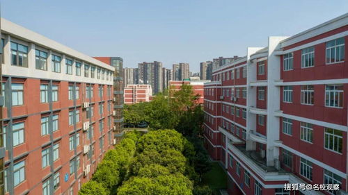 四川维赛金石教育科技集团董事长郭尧泉一行到四川托普学院考察交流