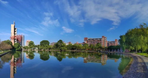 浙江部分高校 三一 招生,十校占比1 5,普通高中学生如何突围