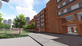 浙江科技学院官宣 玉成小学9月开学，一年级新生预报名通道正式开启